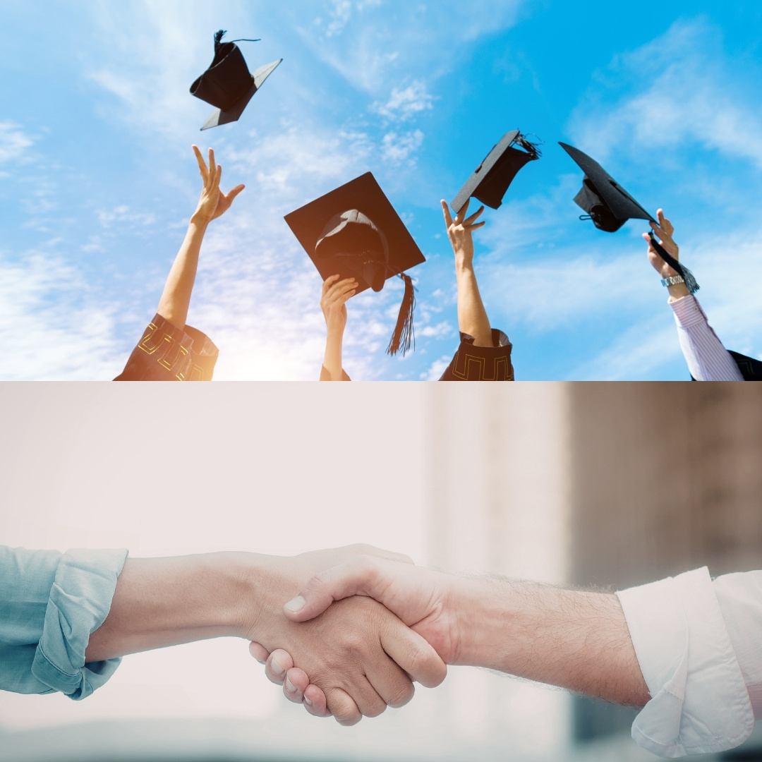 WP grad vis WP grad vis